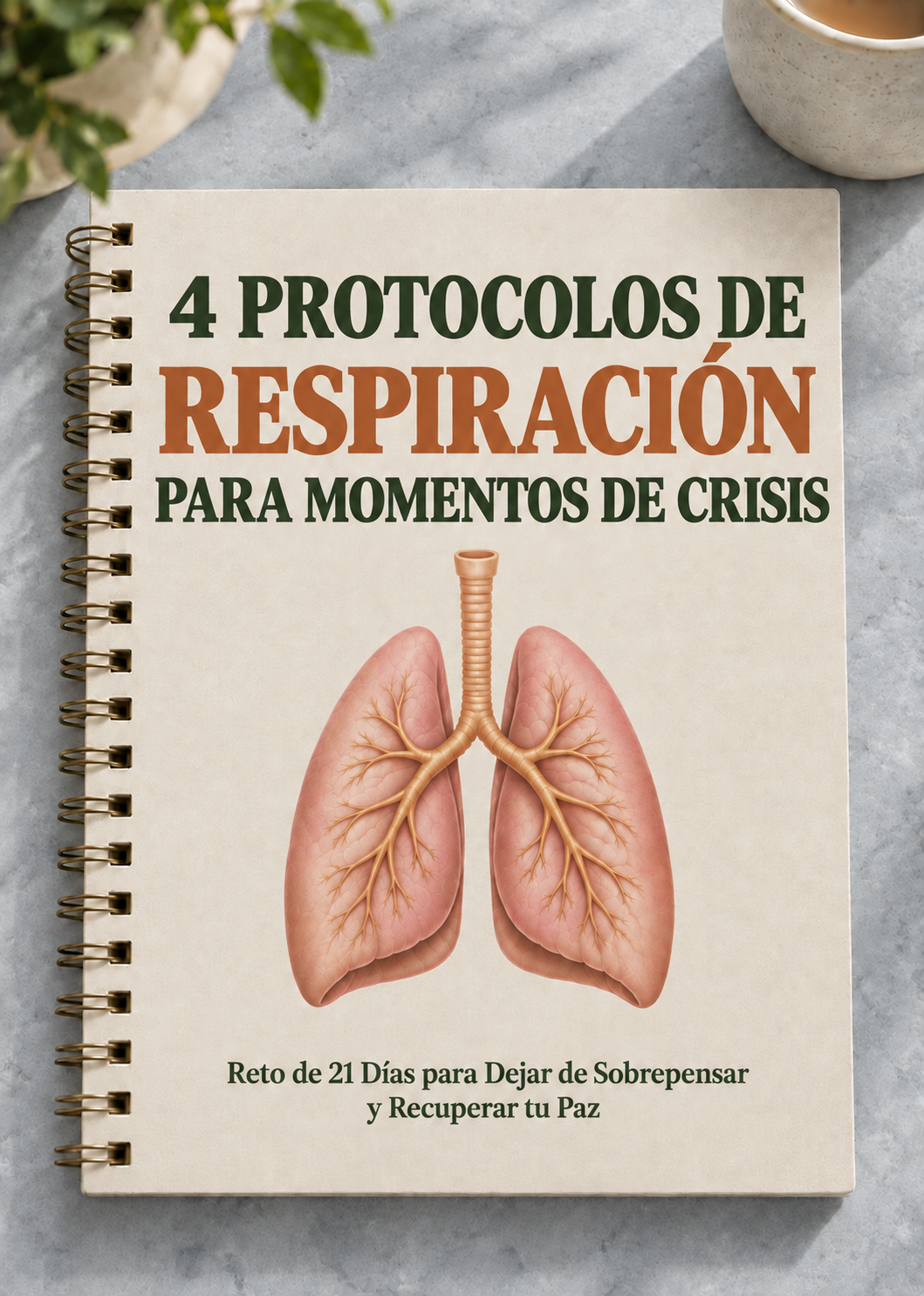 Portada de Protocolos de Respiración para Momentos de Crisis